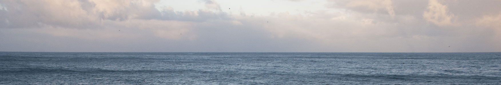 The WaveEL buoy in the ocean